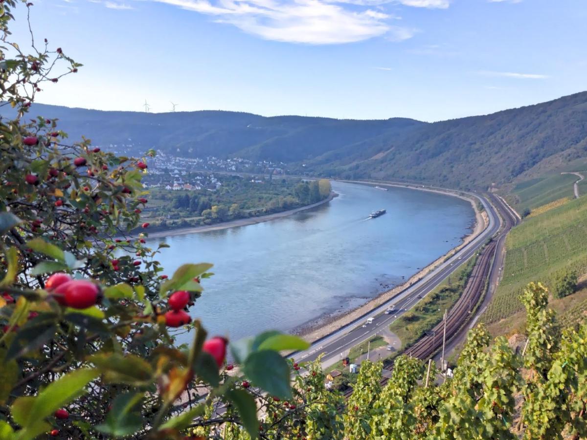 Hotel Rheinlust Boppard Oda fotoğraf